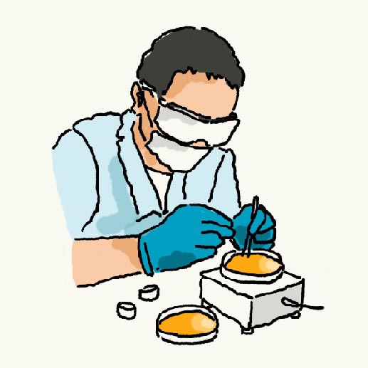 イメージ：研究